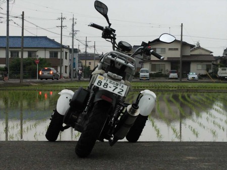 後ろからのシルエットです。