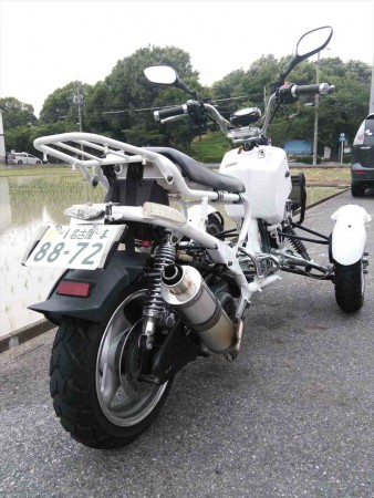 斜め後ろから。