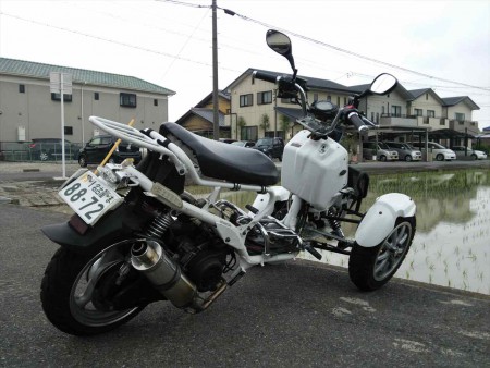 倒した状態で斜め後ろから。