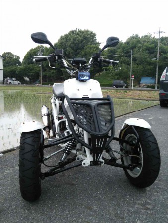 フロントグリルでまとまっています。